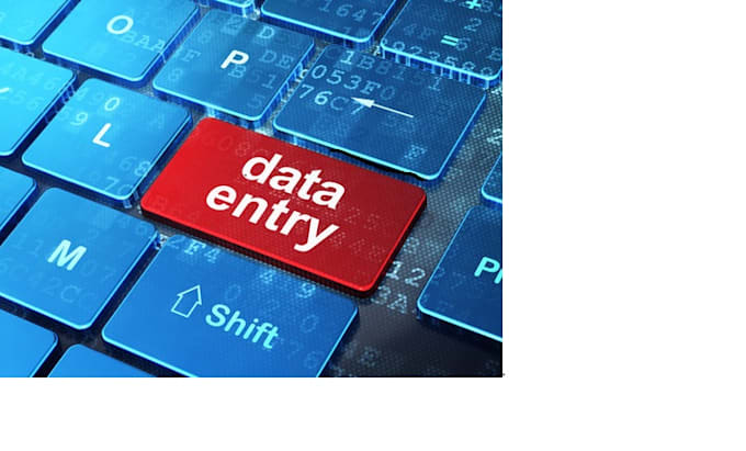 Help you with any data entry jobs i am fast and efficient by Ian ...