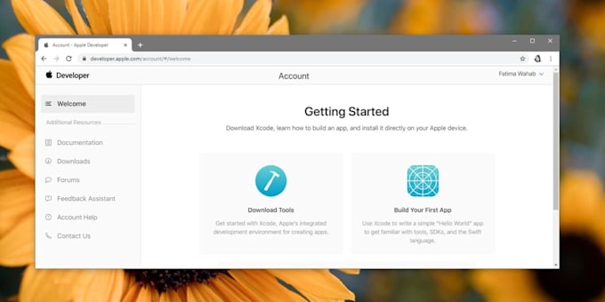 deliver apple developer account for you