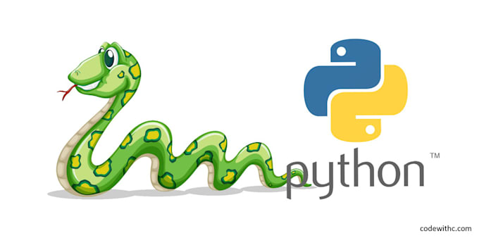 help you at programming
