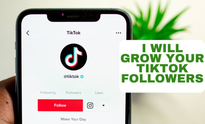 Assure you thousands of followers on your tiktok, instagram, twitter ...