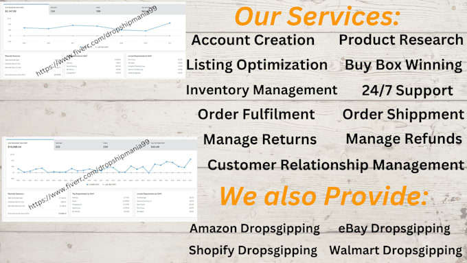 expert for walmart dropshipping and amazon dropshipping