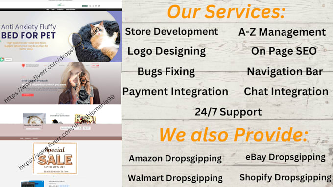 expert for shopify dropshipping and amazon dropshipping