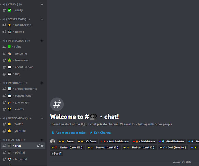 create a professional discord server for you