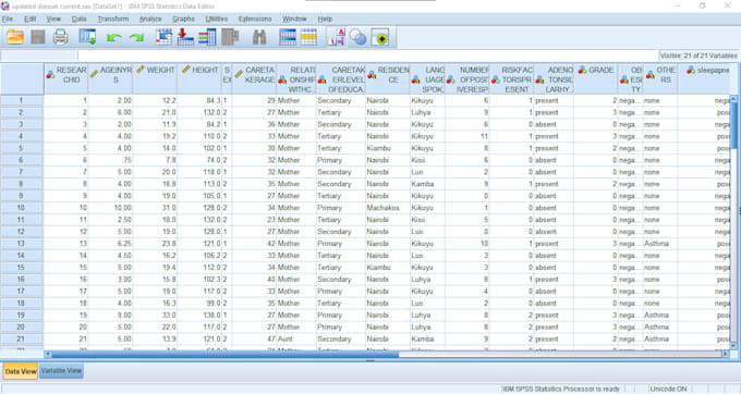 Analyze your data using ibm spss by Conceptamuthoni | Fiverr