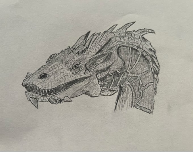 Pencil sketch dragons or other animals by Henrythebear1 | Fiverr