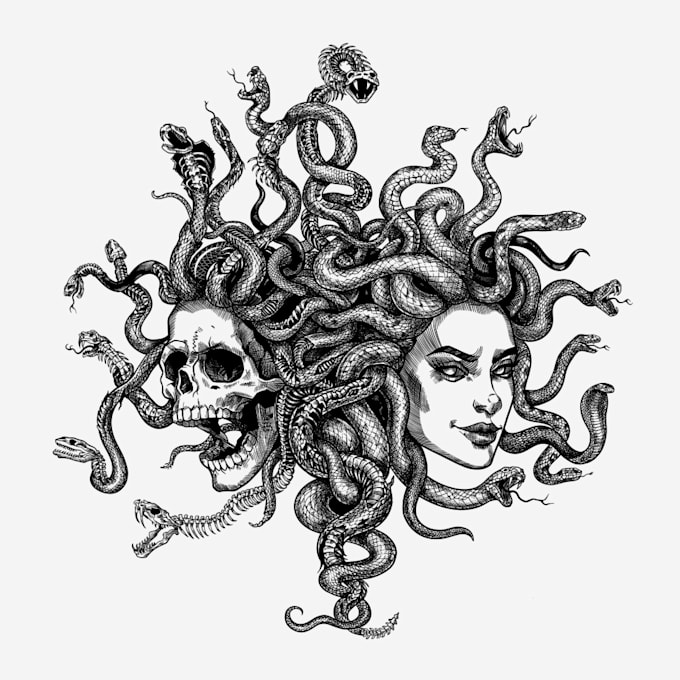 do unique hand drawn black and white classic illustrations