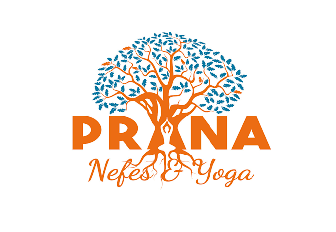design creative yoga tree logo for you