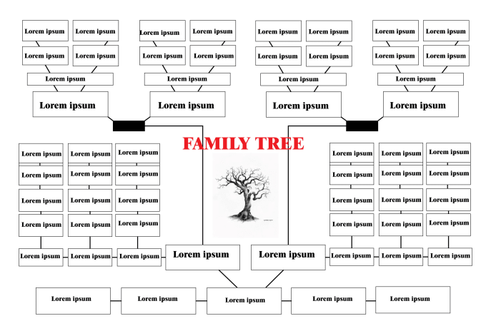 Create genogram or family tree or pedigree by Ibrarkhan009 | Fiverr
