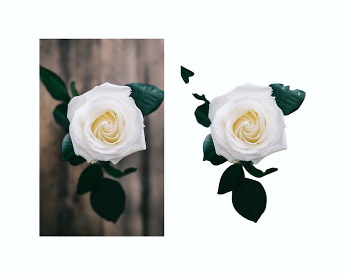 remove background from image