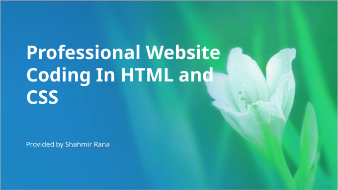 Code a website with basic elements in html and css by Murdog48 | Fiverr