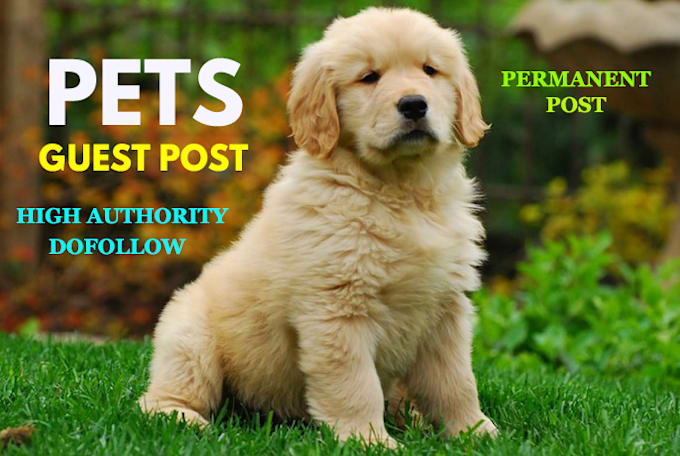 do guest post on pets blog