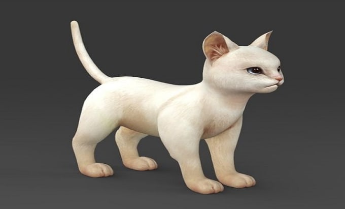 Design 3d realistic animal model, 3d animal animation video, 3d character  by Successs2023 | Fiverr