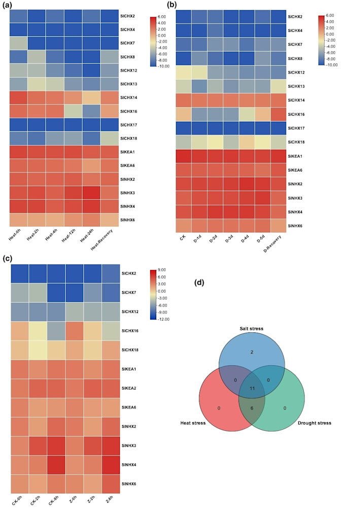 Do biological data analysis and visualization by bioinformatics tools ...