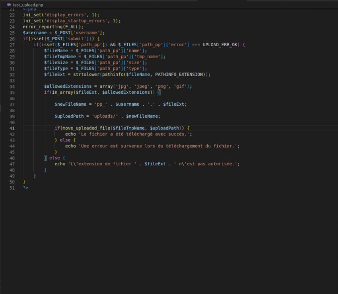 Code any python, c, javascript, and others script for you by Nikola ...