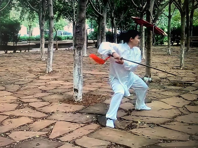 teach chen style tai chi and sword