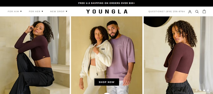 make shopify clothing store and fashion store