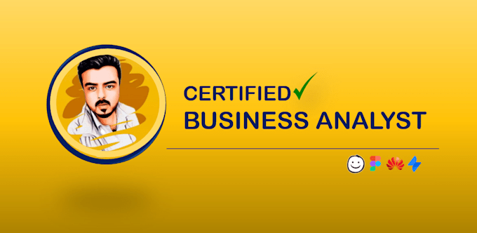 provide business and systems documentation analysis