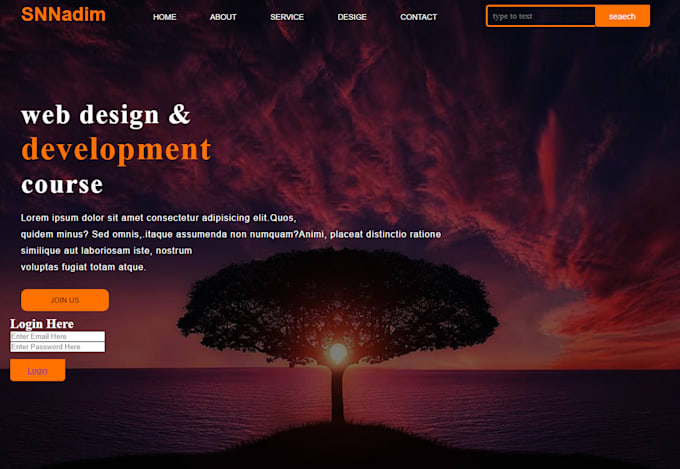 Develop any custom html, css, javascript, website for you by Mdnadim300 ...