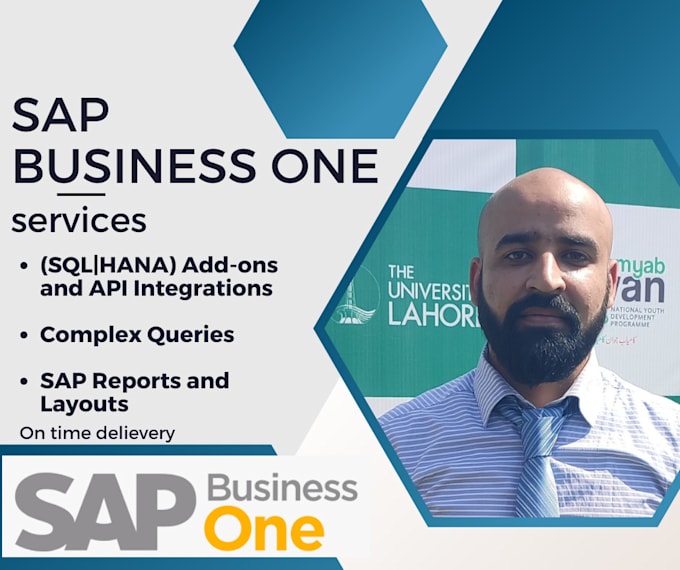 do sap b1 developments