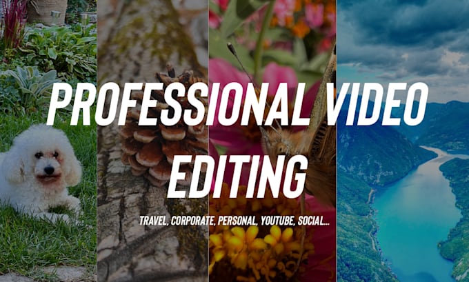 provide professional video editing within 24 hours
