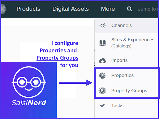 configure salsify productxm properties and property groups for you