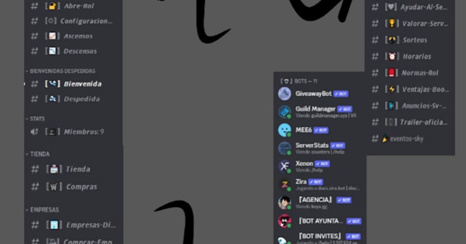 Design your discord server with cool bots and interface by Bl0q_s | Fiverr