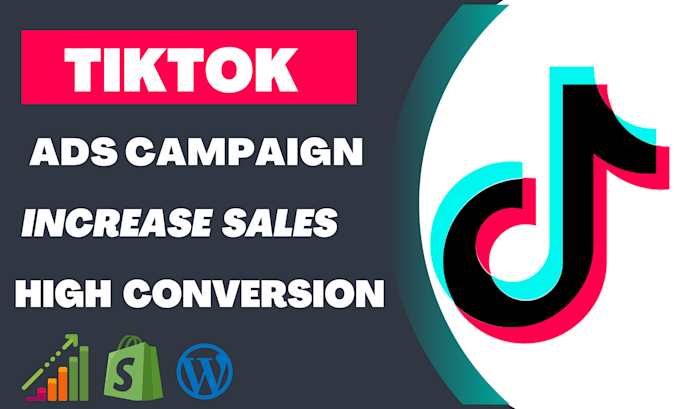 setup and optimize tiktok ads campaign for you