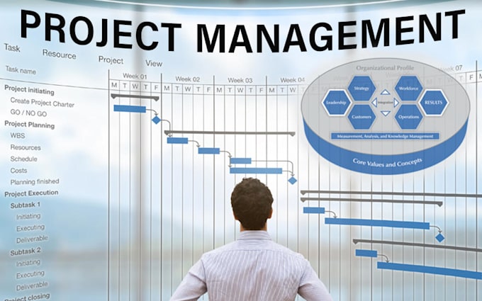 do your project management tasks using ms project