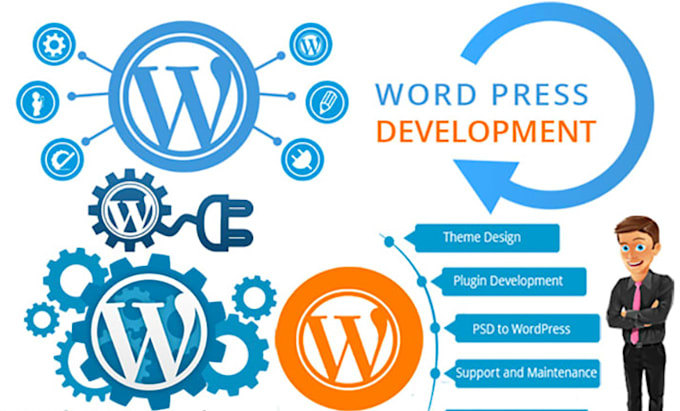 create a professional wordpress website for you