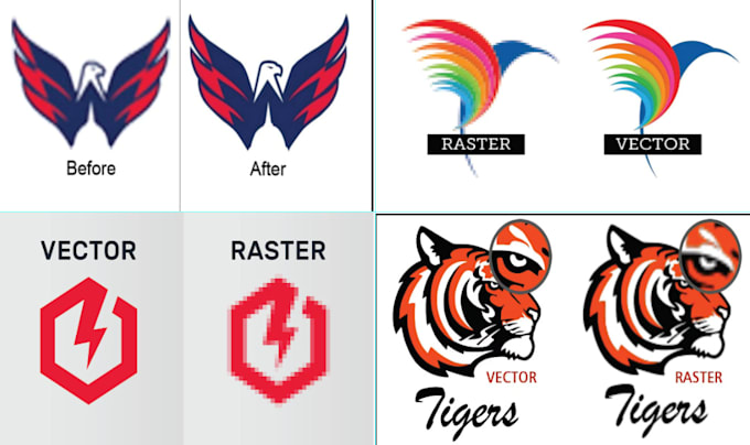provide professional vector tracing and illustration services