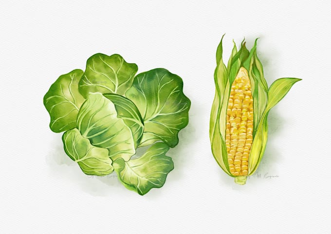 illustrate fruit, plant, or anything in digital watercolor