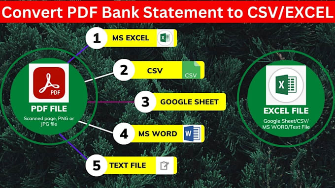 convert PDF bank statement to excel sheet