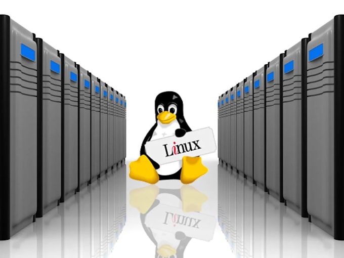 setup and fix cpanel, aws, digitalocean linux server issues