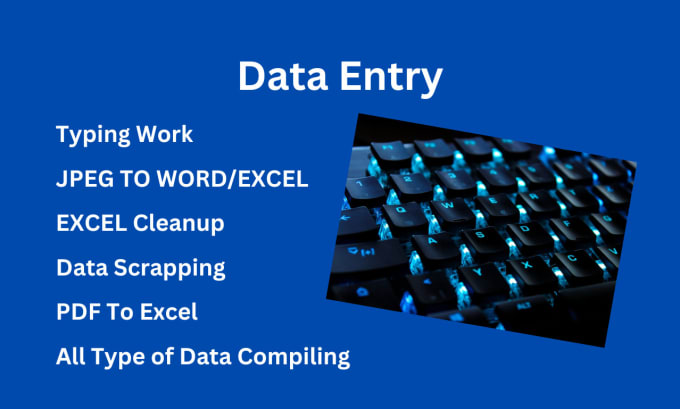 Do Any Type Of Data Entry Work By Saudahmed100 Fiverr