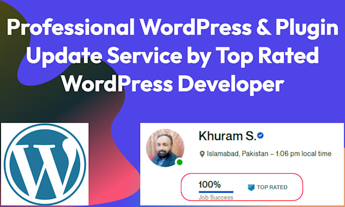 update your wordpress website and plugins