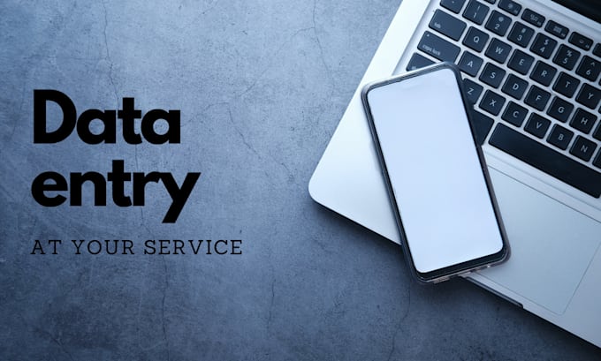 Input your data and make it easiest for your use by Viv816 | Fiverr