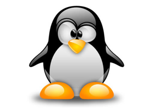 fix any problems related to Linux