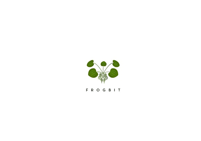 design perfect worthy eco friendly logo design service