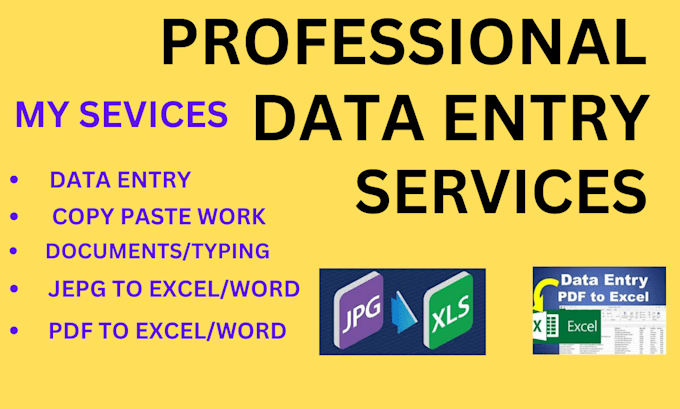 do professional data entry and copy paste job