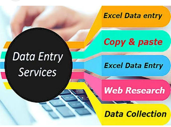 do web search and excel data entry
