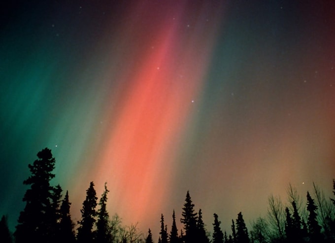 send you on a shamanic journey