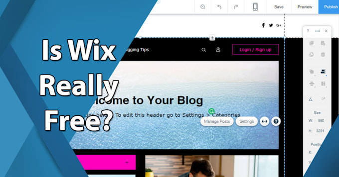 design wix website or design wix build