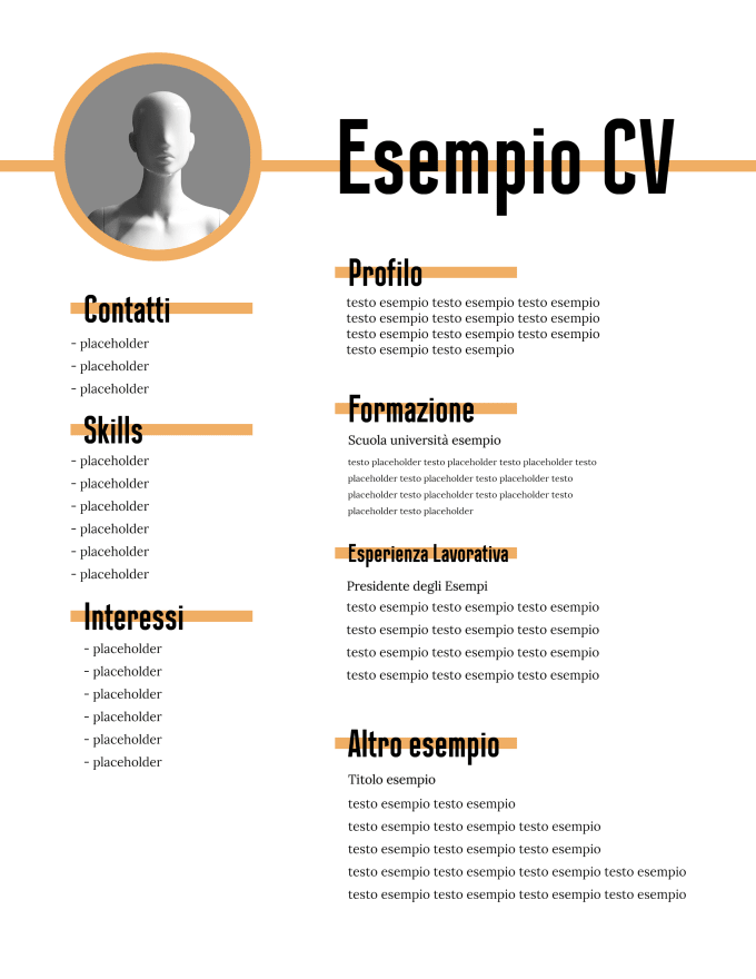 Curriculum vitae professionale italia europa by Davidegrafico | Fiverr