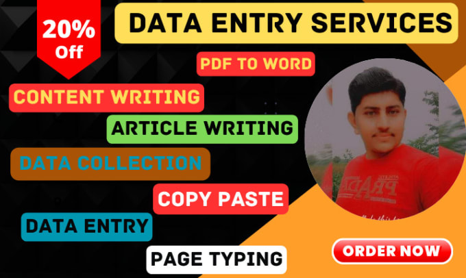 do data entry, seo article writing, website content or blog writing