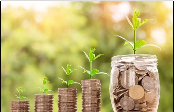 do personal finance coach advisor, budgeting