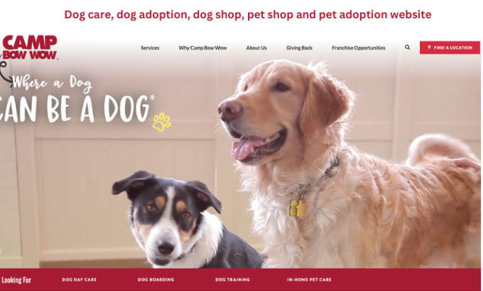 Build or redesign a dog training dog adoption dog care dog