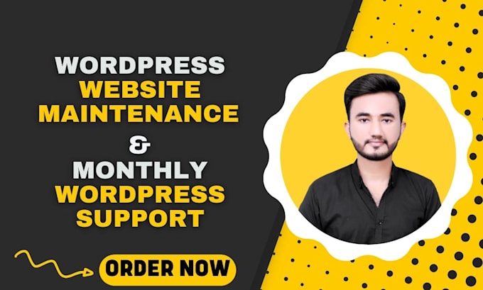 provide wordpress website maintenance and monthly wordpress support