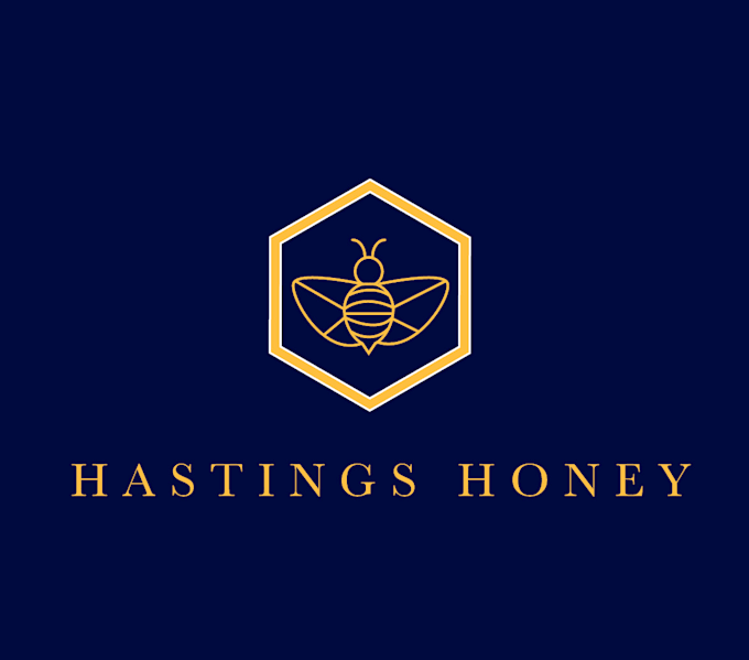 provide an awesome business logo design in 1 day