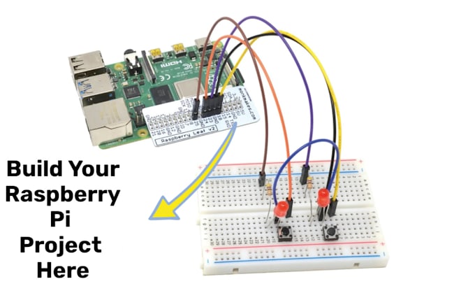 program your raspberry pi in 1 hour and 1 zoom meeting