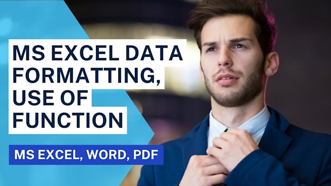 Data entry excel formatting use of functions pdf to excel by 